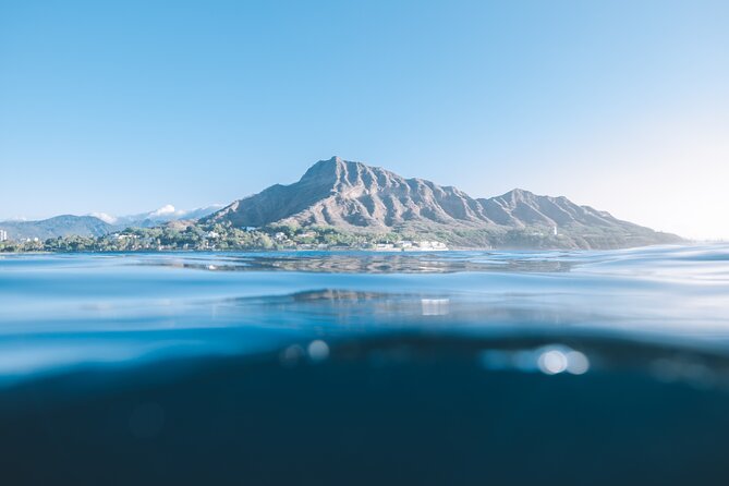 Private Whale Watching and Coastal Swimming Tour Honolulu - Whale-watching that’s guided, not random