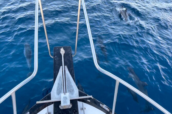 Private Whale Watching and Dolphin Excursion - Captain skill is the difference maker (Captain Mike and Rick’s standout trips)