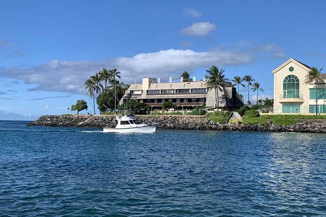 Private Whale Watching and Dolphin Excursion - When this tour is a great fit (and when it isn’t)