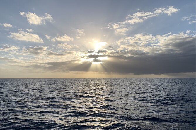 Private Whale Watching and Dolphin Excursion - Getting on board: Ala Moana meeting point and practical prep