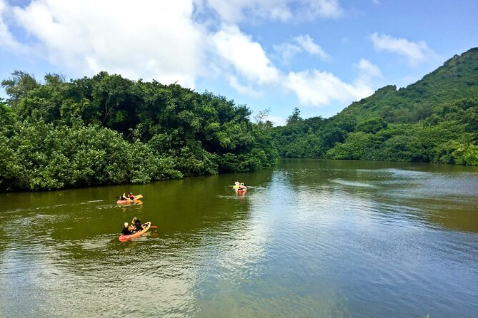 Rainforest River Kayak Self-Guided Kayak Tour - Meeting Point, Timing, and Getting to the Start