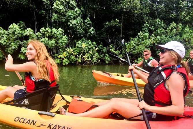 Rainforest River Kayak Self-Guided Kayak Tour - Paddling Skills: Beginner-Friendly, But Not Totally Zero Effort