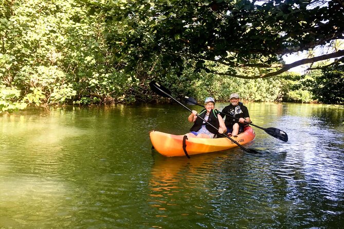 Rainforest River Kayak Self-Guided Kayak Tour - The Secluded vs. Back-Yard Reality: A Fair Warning That Helps