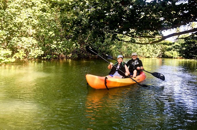Rainforest River Kayak Self-Guided Kayak Tour - Family-Friendly Energy and the Importance of Clear Instructions