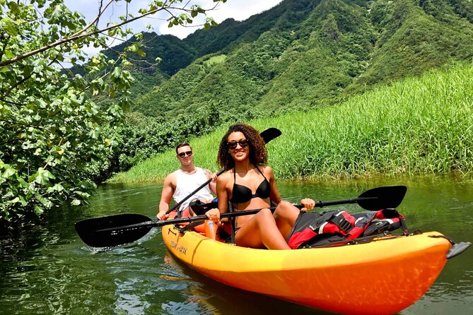Rainforest River Kayak Self-Guided Kayak Tour - What You Actually Do in 4 Hours (And Where the Time Goes)