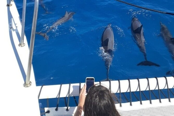 Sail and Turtle Snorkeling Tour in Waikiki - Boat Comfort Details: Shade, Seating, and a Layout That Helps
