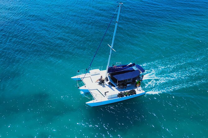 Sail and Turtle Snorkeling Tour in Waikiki - Gear, Lifeguards, and Safety That Feel Practical