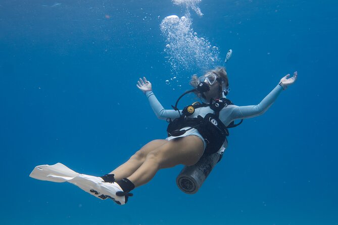 Scuba Dive at Electric Beach - Price and Value: Why $145 Can Make Sense Here