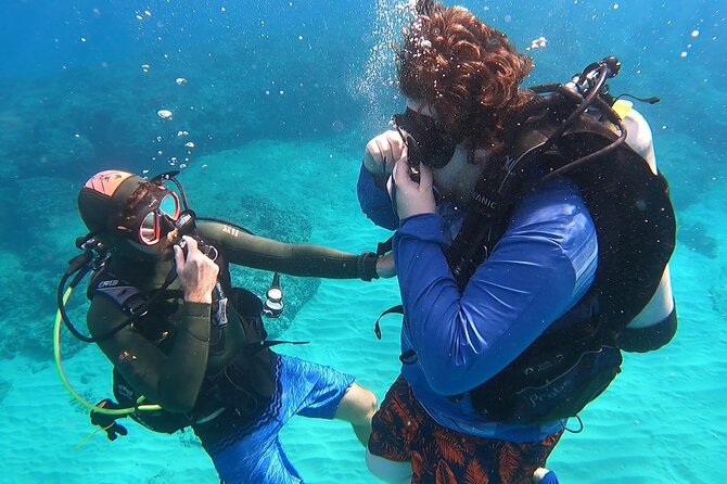 SCUBA Dive at Electric Beach with Photos -No Certification Needed - Electric Beach and Kaʻe Point: why this area works for first-timers