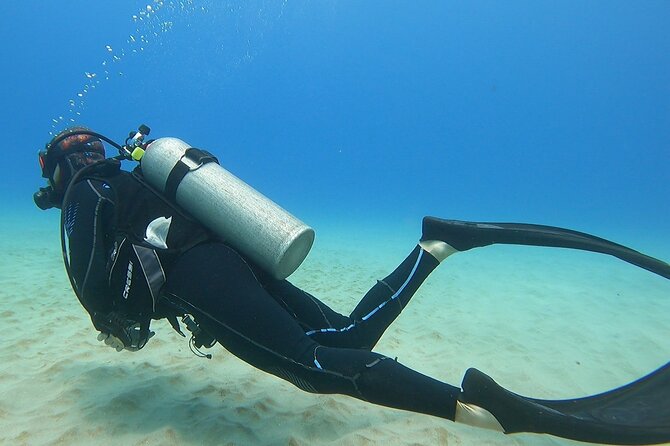 SCUBA Dive at Electric Beach with Photos -No Certification Needed - Price and value: is $130 really a good deal here?