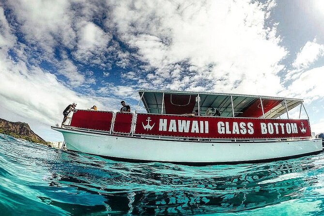 Sea Safari, Dolphins, Turtles and Waikiki Cruise - What You Can Really See: Dolphins, Turtles, Fish, and Seasonal Whales