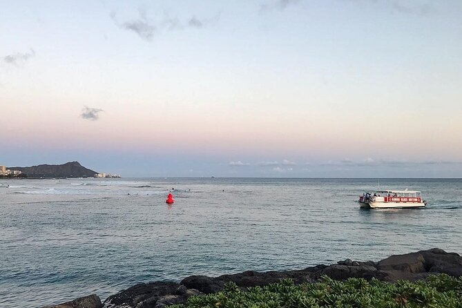 Sea Safari, Dolphins, Turtles and Waikiki Cruise - Timing, Seasickness Reality, and Weather Checks