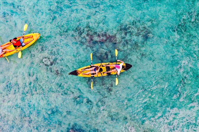 Self-Guided Kayaking Tour in Kailua Bay and Popoia Island - Popoia Island walk and Queens Bath: seabirds, coral terrain, and swim time