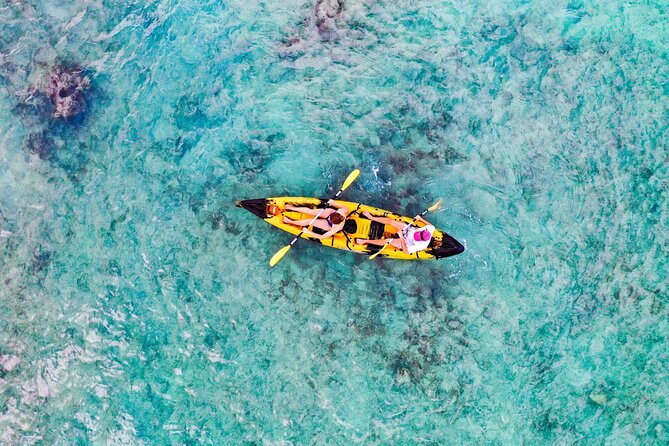 Self-Guided Kayaking Tour in Kailua Bay and Popoia Island - Price and value: is $82 a fair deal for 4 hours?