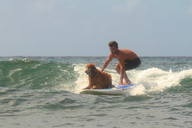 Semi-Private Surf Lesson - Instructor quality: lifeguard + Red Cross CPR certified
