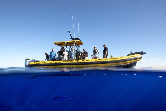 Shark-Dive Tour on Oahu's North Shore - Guide Vibes and Crew Names You Might Hear
