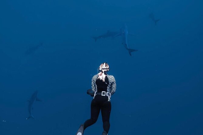 Shark Diving and Snorkeling in Oahu Hawaii - Why Oahu North Shore shark snorkeling feels different