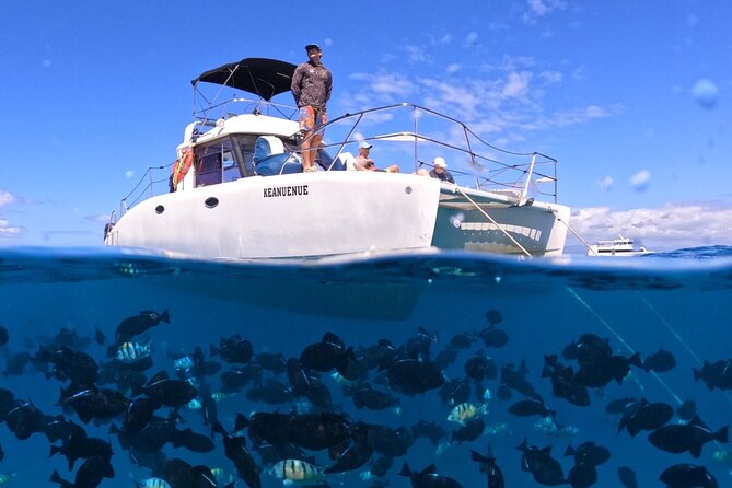 Small Group Turtle Canyon Snorkel in Waikiki (Boat Tour) - Key highlights you’ll feel on this trip
