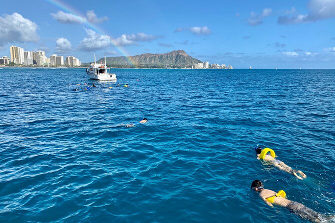 Small Group Turtle Canyon Snorkel in Waikiki (Boat Tour) - Turtle Canyon from Waikiki: why this small boat matters