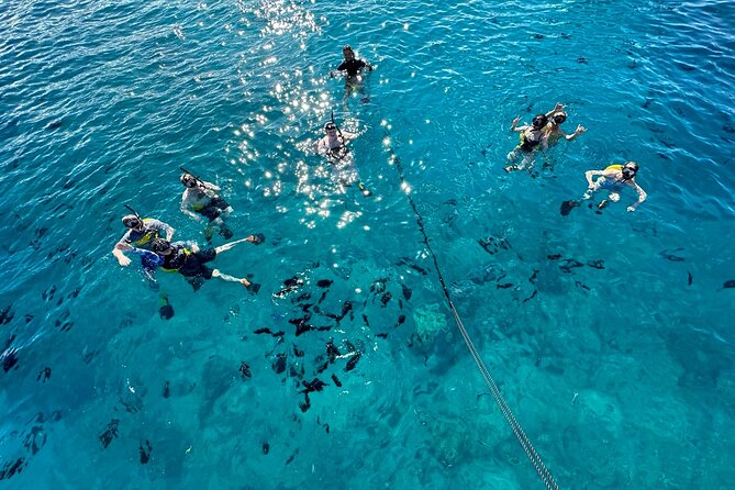 Small Group Turtle Canyon Snorkel in Waikiki (Boat Tour) - The 2-hour flow: what happens from dock to reef