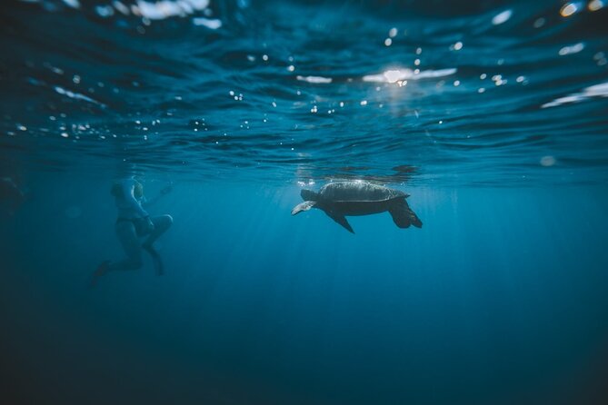 Small Group Turtle Canyon Snorkel in Waikiki (Boat Tour) - Waikiki Beach and Diamond Head: the calm part before the action
