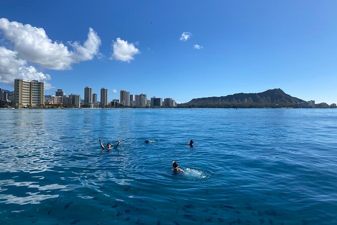 Small group Turtle Snorkel (16 people max): Sightings Guaranteed - The Water Time: How the Gear and Two Guides Boost Confidence