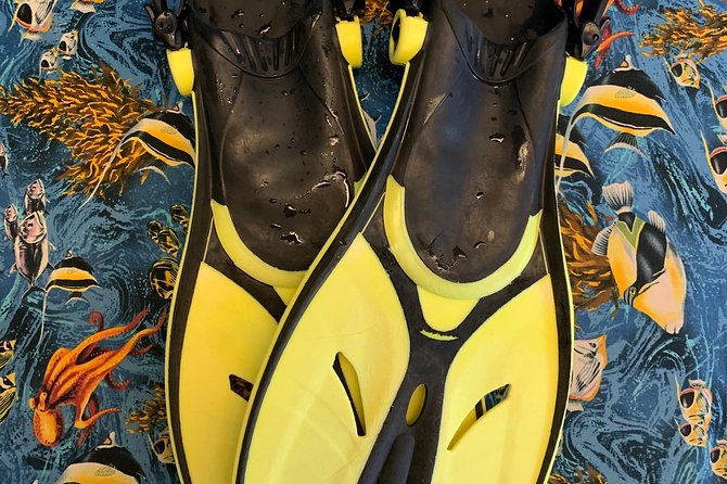 Snorkel Gears near Hanauma Bay - The One Thing People Get Tripped Up On: Hanauma Bay Entry