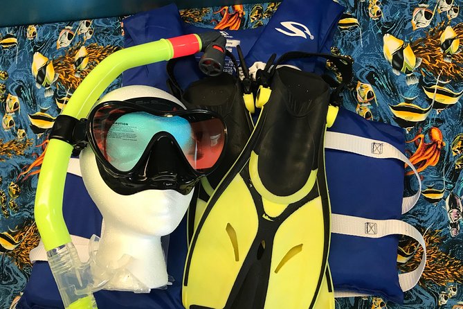Snorkel Gears near Hanauma Bay - Snorkel Gear Details That Actually Affect Your Comfort
