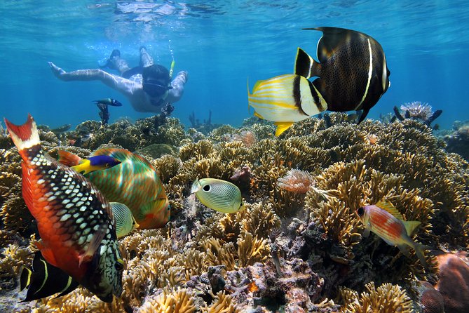Snorkel Gears near Hanauma Bay - Getting There: Store Location and the Rideshare Reality