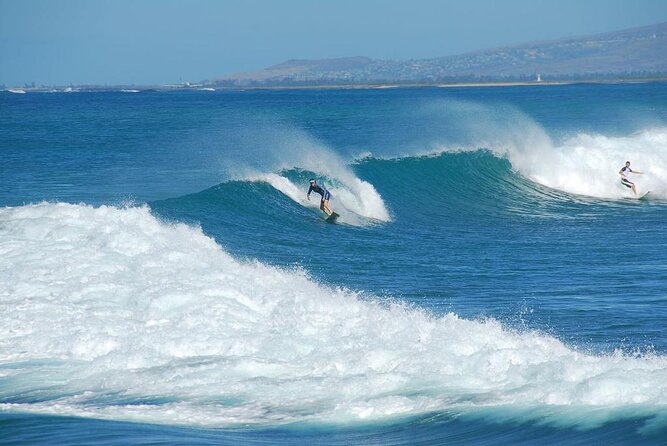 Snorkel with sharks on the North Shore of Oahu - Key highlights worth knowing before you go