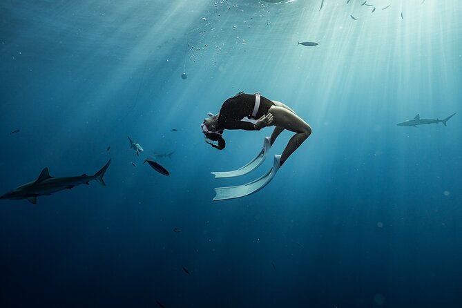 Snorkel with sharks on the North Shore of Oahu - Should you book Hawaii Ocean Adventure Tours?