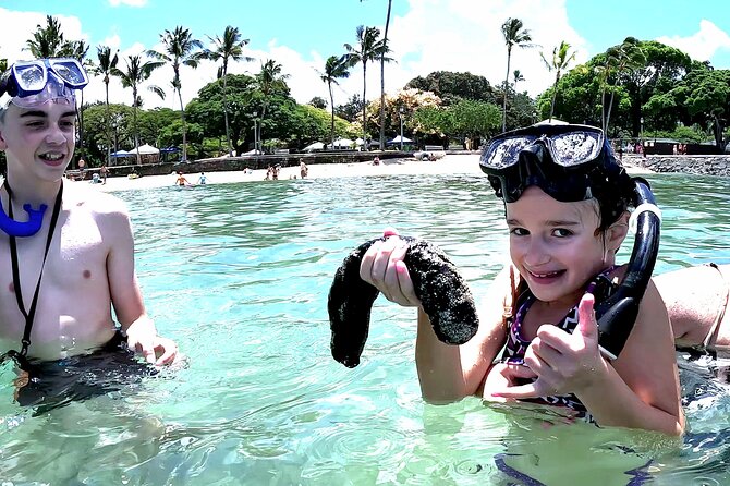 Snorkeling in Waikiki Many Fish All Levels Free Video & Pics! - Key Highlights You’ll Actually Care About