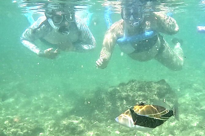 Snorkeling in Waikiki Many Fish All Levels Free Video & Pics! - Gear Notes: What’s Included and How to Use It Right
