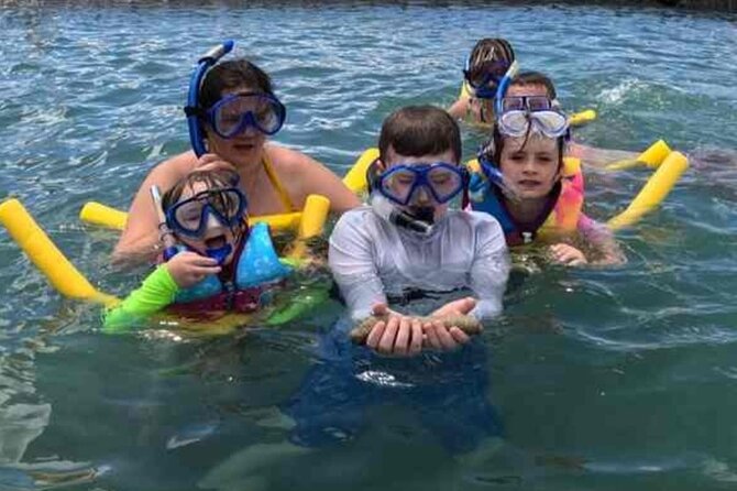 Snorkeling in Waikiki Many Fish All Levels Free Video & Pics! - What You Can See Off Waikiki: Fish First, Aquarium Vibes