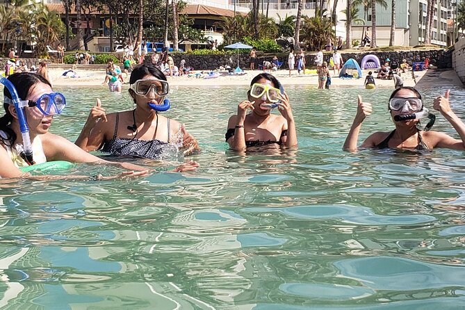 Snorkeling in Waikiki Many Fish All Levels Free Video & Pics! - Timing and Water Conditions: Why Waves Matter Here