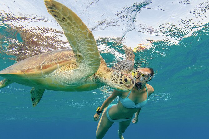 Snorkeling with Turtle/Water Scooter/Paddleboard Adventures Oahu - Who should book this tour, and who might think twice