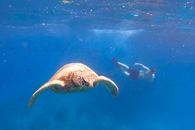 Snorkeling with Turtle/Water Scooter/Paddleboard Adventures Oahu - Electric underwater Sea Scooters: what makes this tour different