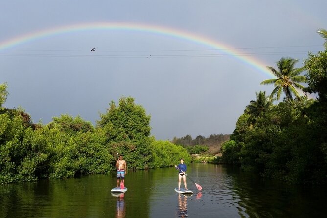 Stand Up Paddle Nature and Turtle tour-Guaranteed to see turtles - Key Highlights You’ll Actually Care About