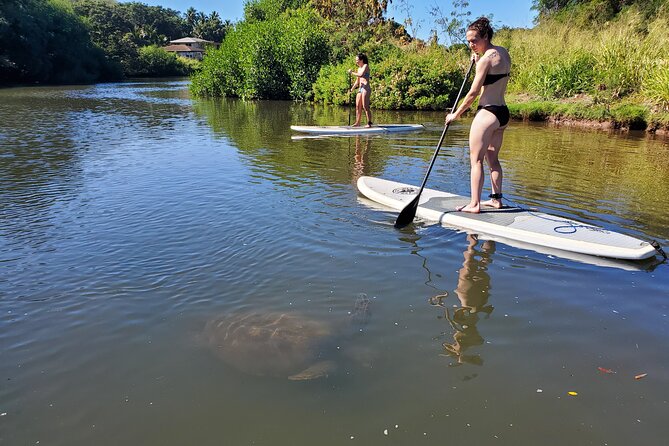 Stand Up Paddle Nature and Turtle tour-Guaranteed to see turtles - Where You Paddle: From Calm Water to Real Turtle Chances