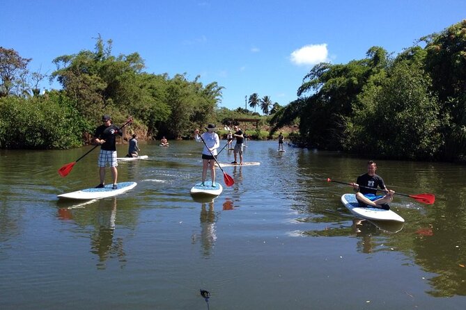 Stand Up Paddle Nature and Turtle tour-Guaranteed to see turtles - Snorkel Time: What to Look For Under the Surface