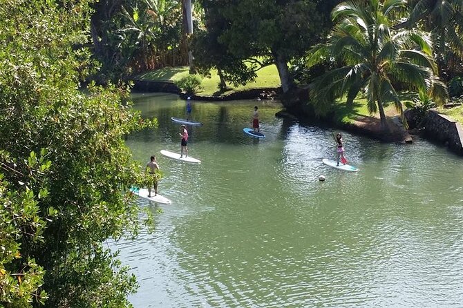 Stand Up Paddle Nature and Turtle tour-Guaranteed to see turtles - Water Clarity and Turtle Viewing: What Might Surprise You