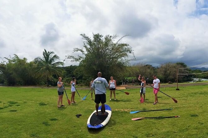 Stand Up Paddle Nature and Turtle tour-Guaranteed to see turtles - What You Get for the Price (and Why It Feels Fair)