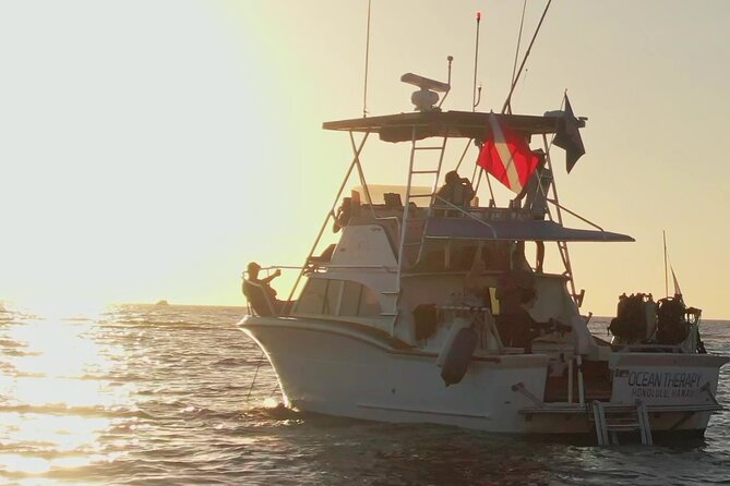 Sunset Cruise along Waikiki Coastline - The 5:30 PM Timing That Turns Waikiki Into a Day-to-Night Show