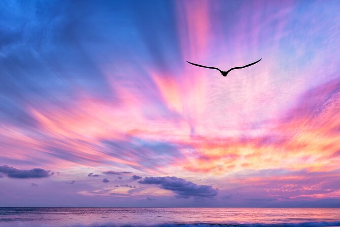 Sunset Cruise along Waikiki Coastline - Who This Sunset Cruise Is Best For (and Who Might Skip It)