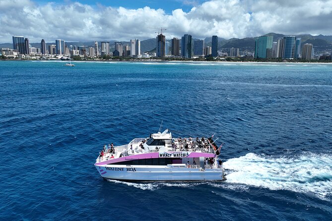 Sunset Cruise & Whale Watching from Oahu - Price and value: how $61.19 stacks up for a sunset whale watch