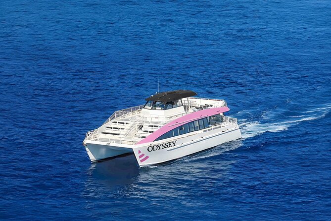Sunset Cruise & Whale Watching from Oahu - Weather-dependent reality: what happens if conditions aren’t right