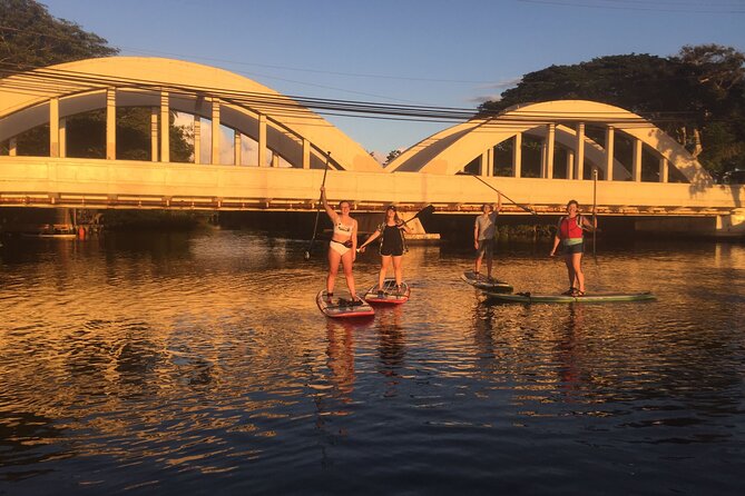 Sunset Stand Up Paddle with Photos and Turtles - The land lesson and what the guide teaches you