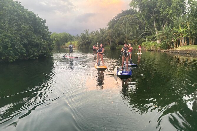 Sunset Stand Up Paddle with Photos and Turtles - How the Anahulu River sunset turtle spotting works