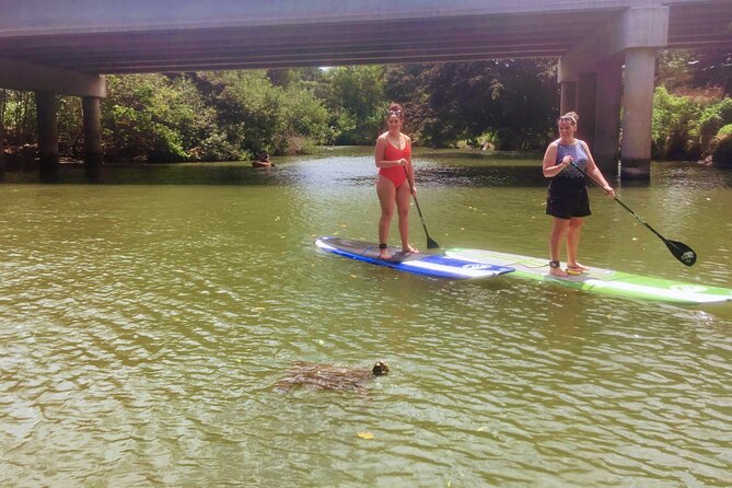 Sunset Stand Up Paddle with Photos and Turtles - Itinerary breakdown: the 2 hours, step by step
