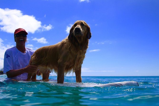 Surf Lessons on the North Shore of Oahu - Key Things to Know Before You Go